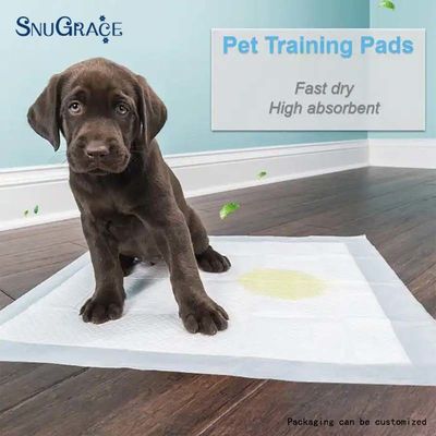SnuGrace バンブー 炭水化物 犬用 毛布 毛布 毛布 毛布 毛布 毛布