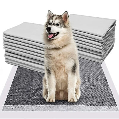 CE ISO 認定 ブルー スヌグレース 犬用ペイマット 素早く吸収し耐久性のあるペットトレーニングマット