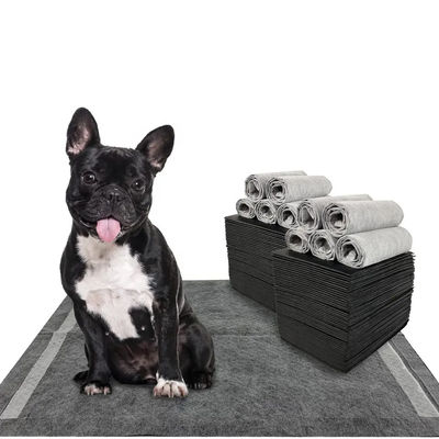 CE ISO 認定 ブルー スヌグレース 犬用ペイマット 素早く吸収し耐久性のあるペットトレーニングマット