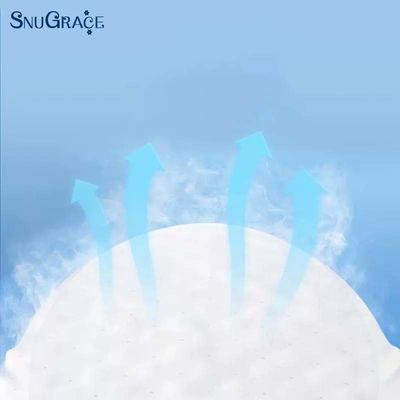 SnuGrace 限定購入 大人向け 引き上げパンツ 使い捨て 柔らかい 透ける