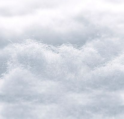 乳母 の ため に 快適 で 透ける 使い捨て の 乳房 パッド 白