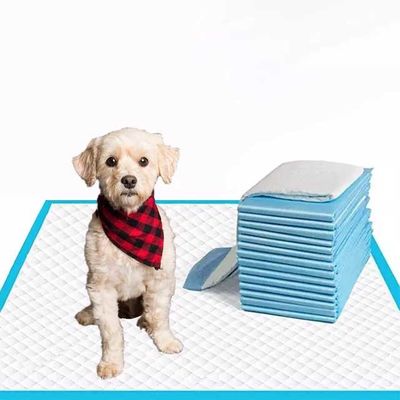20g-120g コア 犬 ペット トレーニング パッド 尿布 木炭 ペット パッド 犬 尿布 トレーニング