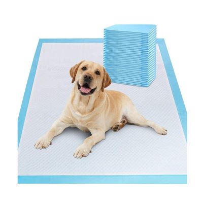 無料で提供されるサンプルOEM/ODM ペット トイレの小便パッド 子犬の訓練と睡眠