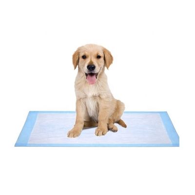 無料で提供されるサンプルOEM/ODM ペット トイレの小便パッド 子犬の訓練と睡眠