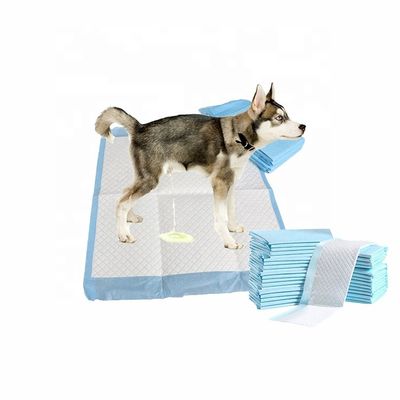 無料で提供されるサンプルOEM/ODM ペット トイレの小便パッド 子犬の訓練と睡眠