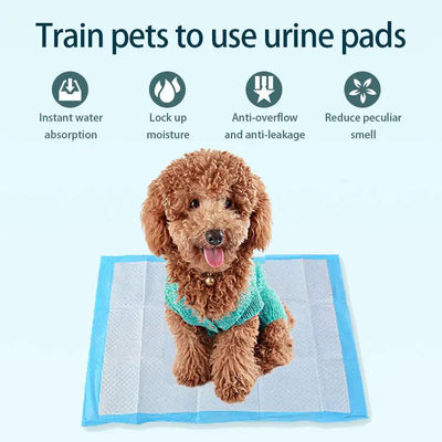 ペットトレーニング製品 超吸収性 漏れ防止性 ワンダースパッド 犬 猫 動物