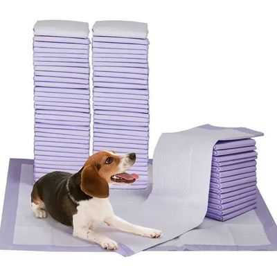 2023 ベストセール エコフレンドリー 犬用ペットトレーニング用使い捨てペットトレーニングパッド