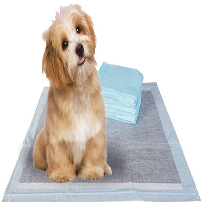子犬訓練 ペット トイレの小便パッド サンディアやスミトモ SAPとカスタマイズされた色