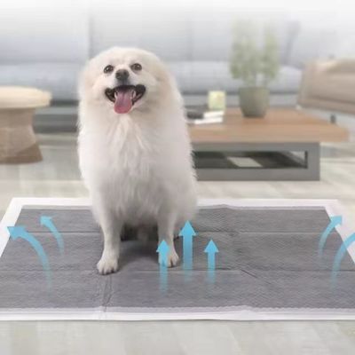 使い捨てのペットフレンドリートレーニングと子犬のアンダーパッド 高水吸収性 犬尿パッド