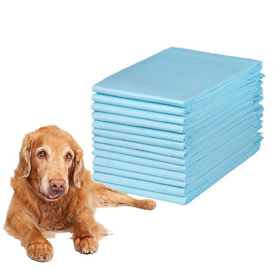 オーダーメイド サイズ ワンダペット ペットトレーニングパッド グレー犬 グレー60×60cm 動物