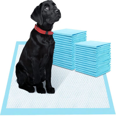 CE ISO 証明書を持つペットトレーニング製品 OEM オーダーメイド 防水犬トレーニングパッド