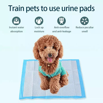 60*60 小犬 小犬パッド 5 層 吸収性 ペットトレーニング 尿吸収のための小便パッド
