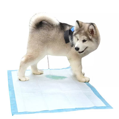 ペット用ペット用ペット用ペット用ペット用ペット用ペット用ペット用ペット用ペット用ペット用ペット用ペット用ペット用ペット用ペット用ペット用ペット用ペット用ペット用ペット用ペット用ペット用ペット用ペット用ペット用ペット用ペット用ペット用ペット用ペット用ペット用ペット用ペット用ペット用ペット用ペット用ペット用ペット用ペット用ペット用ペット用ペット用ペット用ペット用ペット用ペット用ペット用ペット用ペット用ペット用ペット用ペット用ペット用ペット用ペット用ペット用ペット用ペット用ペット用ペット用ペット用ペット用ペット用ペット用ペット用ペット用ペット用ペット用ペット用ペット用ペット用ペット用ペット用ペット用ペット用ペット用ペット用ペット用ペット用ペット用ペット用ペット用ペット用ペット用