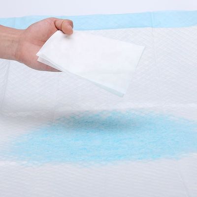 ペット用ペット用ペット用ペット用ペット用ペット用ペット用ペット用ペット用ペット用ペット用ペット用ペット用ペット用ペット用ペット用ペット用ペット用ペット用ペット用ペット用ペット用ペット用ペット用ペット用ペット用ペット用ペット用ペット用ペット用ペット用ペット用ペット用ペット用ペット用ペット用ペット用ペット用ペット用ペット用ペット用ペット用ペット用ペット用ペット用ペット用ペット用ペット用ペット用ペット用ペット用ペット用ペット用ペット用ペット用ペット用ペット用ペット用ペット用ペット用ペット用ペット用ペット用ペット用ペット用ペット用ペット用ペット用ペット用ペット用ペット用ペット用ペット用ペット用ペット用ペット用ペット用ペット用ペット用ペット用ペット用ペット用ペット用ペット用ペット用