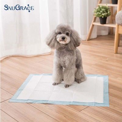 高吸収性 900X600 ワンピース訓練のために備えた使い捨て犬の尿パッド 600X350