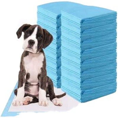 一回使用不禁用 L XL Pee Pad ペット・ペット・ペット・ペット・ペット・ペッド