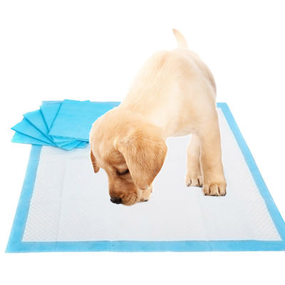 一回使用不禁用 L XL Pee Pad ペット・ペット・ペット・ペット・ペット・ペッド