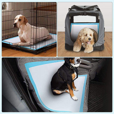 超大型吸い込み犬訓練ペイパッド 60x90 60x60 60x45
